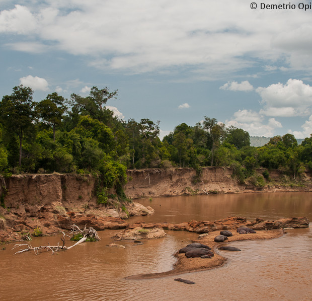 Crocodile Camp