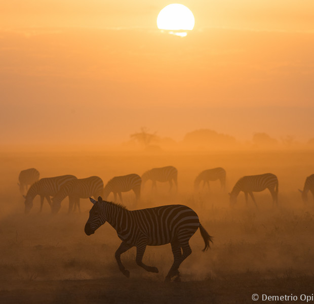 Sunrise & Dust